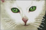 (image for) Green Eyes